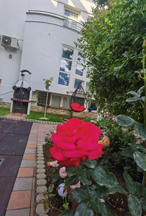 ホテル Fitness House With Garden コンスタンツァ エクステリア 写真